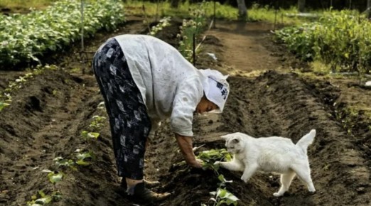 Почему работа в саду приносит радость: удивительная наука за увлечением