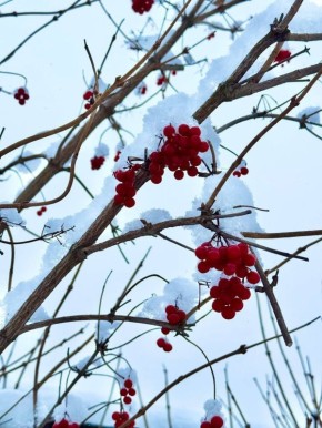 Доброе утро!. Фото: Александр Сурин #ВестиКрасноярск