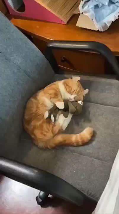 ������ ����. ���