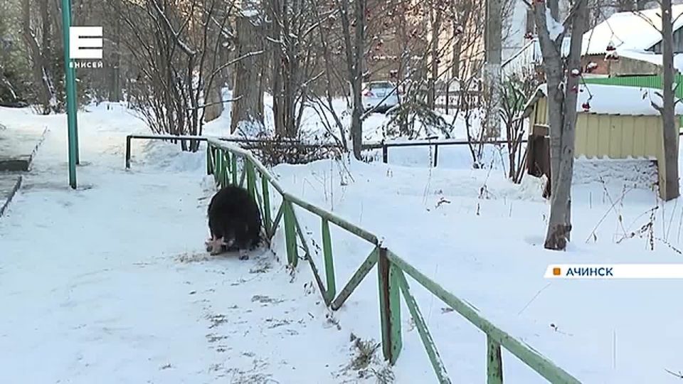 � ������� ������������� �������� ���������� �� ������� ������������ �������