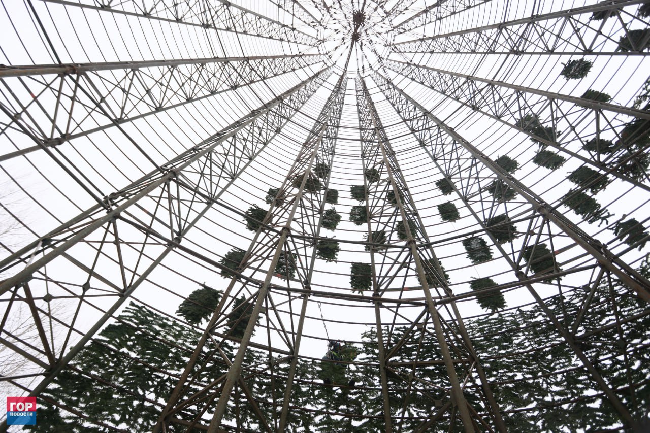 На острове Татышев началась сборка главной городской ёлки На острове Татышев началась сборка главной городской ёлки