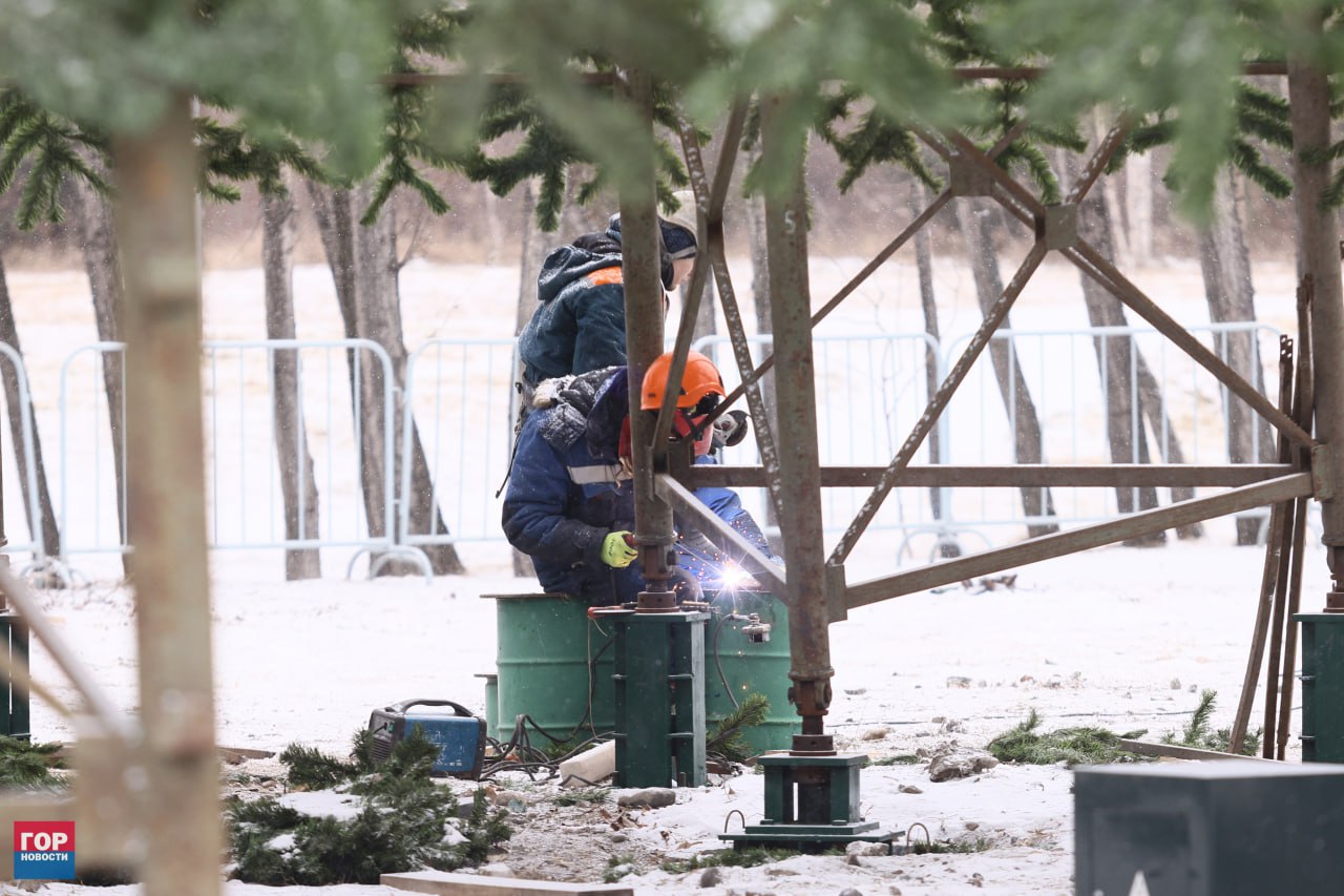 На острове Татышев началась сборка главной городской ёлки На острове Татышев началась сборка главной городской ёлки