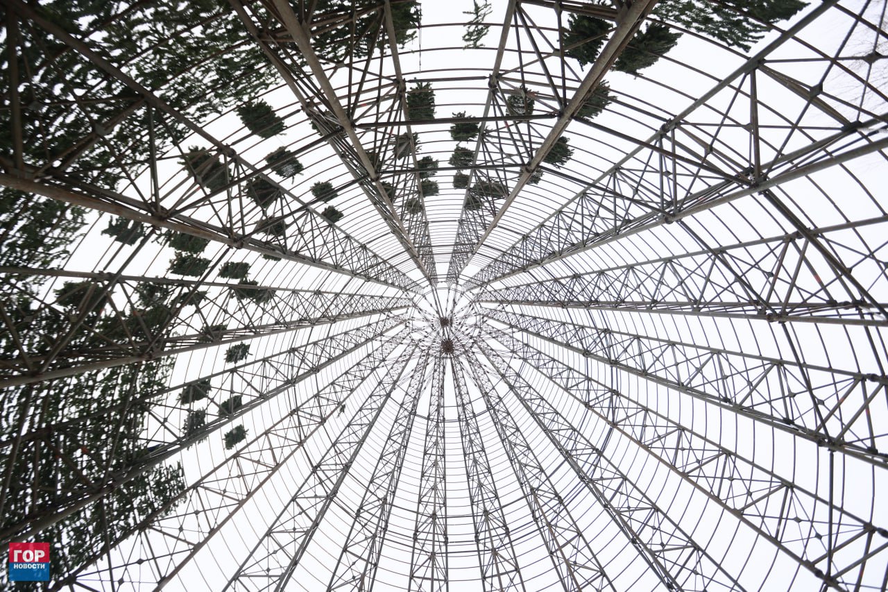 На острове Татышев началась сборка главной городской ёлки На острове Татышев началась сборка главной городской ёлки