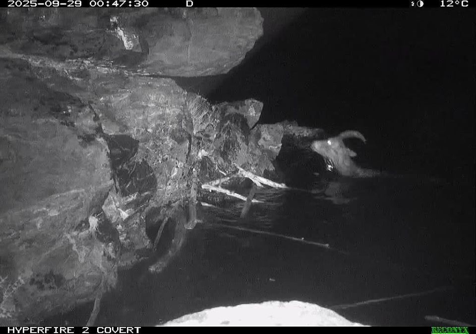 ������� �������� �������� ����� � �����-��������� �����������