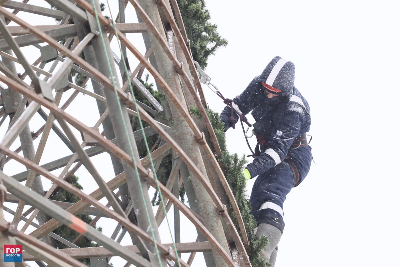 На острове Татышев началась сборка главной городской ёлки На острове Татышев началась сборка главной городской ёлки