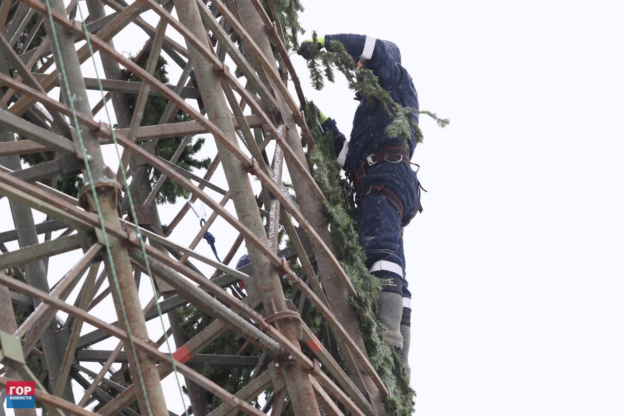 На острове Татышев началась сборка главной городской ёлки На острове Татышев началась сборка главной городской ёлки