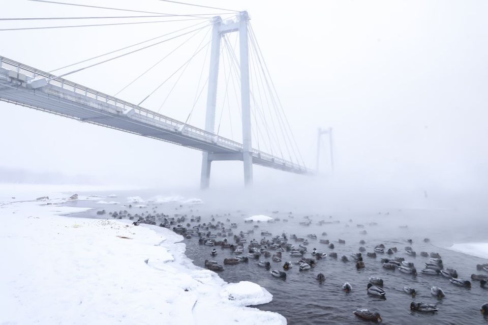 � ����������� 28 ������ ������������ ������ �����������, ������ � ���������� �����