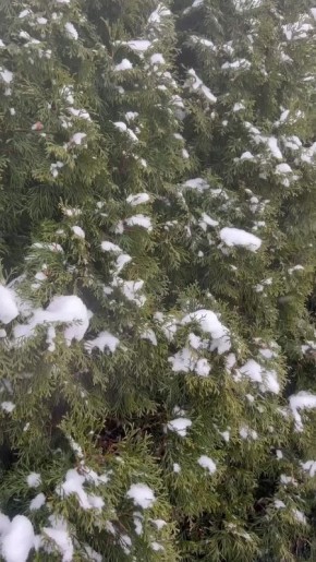 Погода на 28 ноября. ТВК