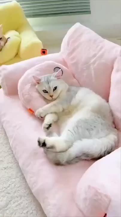 ������ ����. ���