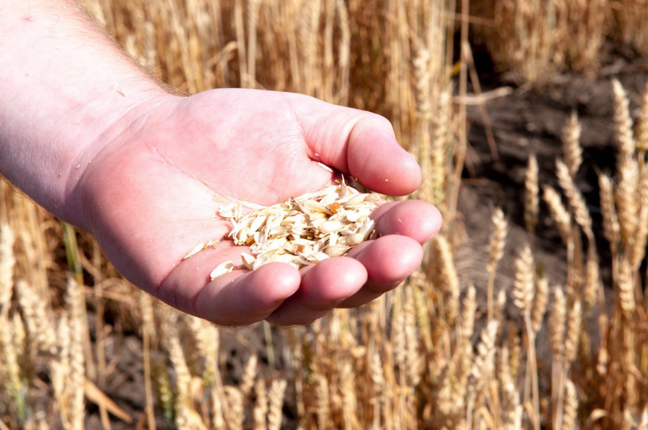 Экспорт АПК: потенциал есть, но требуется системная поддержка