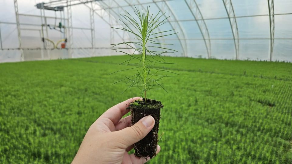 �� ��� � ���� �������� ������ 17 ��������� ������� ��������