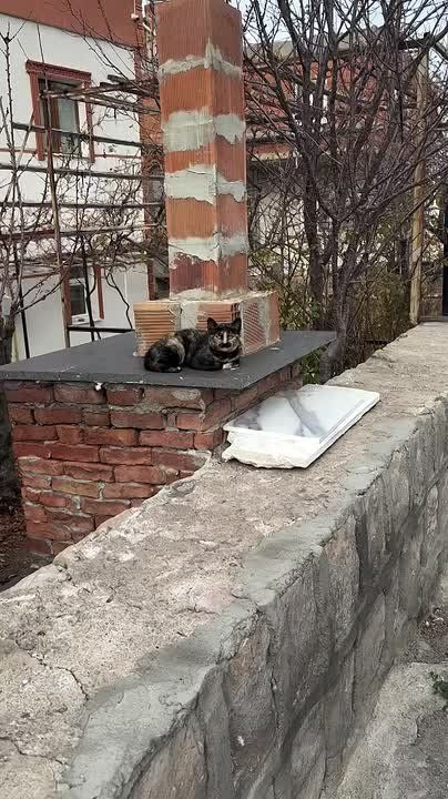 � ������ ����� ����, ������� �������� ��� ������ ���������