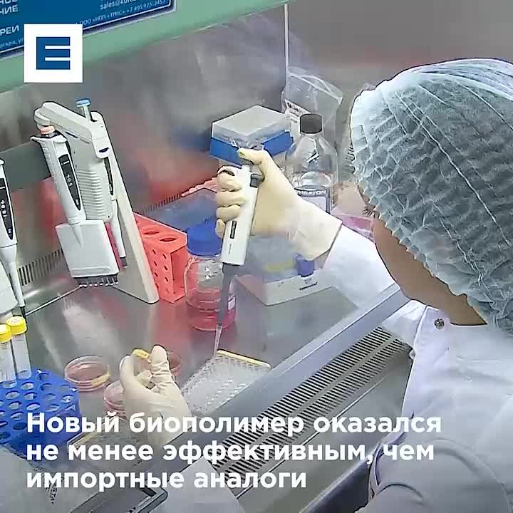 Красноярские ученые создали материал для костных протезов из шпротного масла