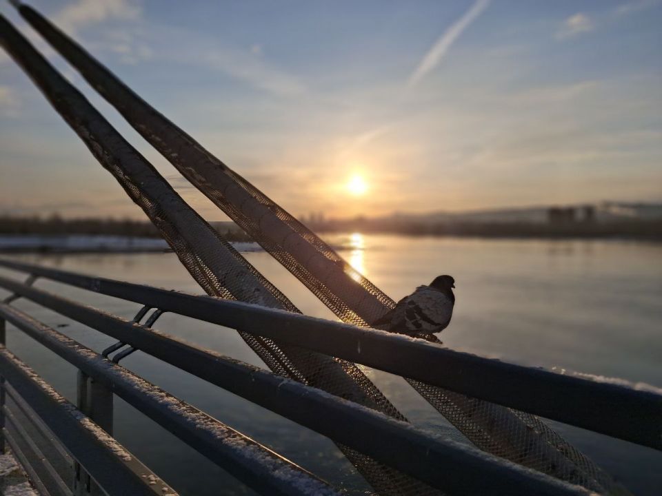 ������ ����!. ����: ������ ������� #���������������