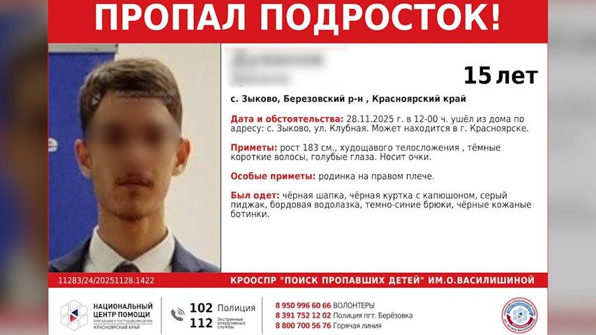 Школьник упал с Октябрьского моста в Красноярске