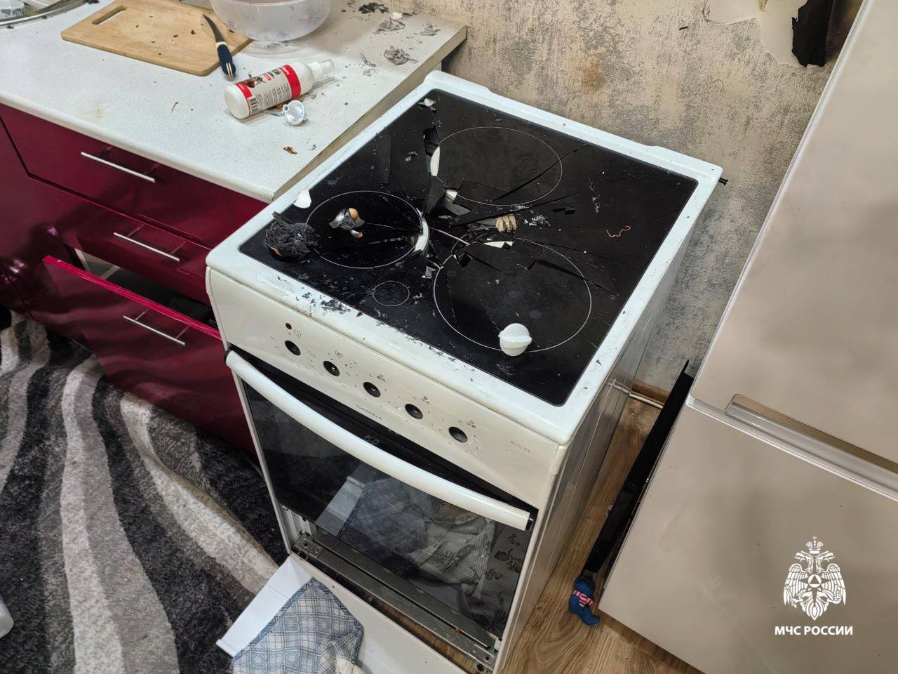 СОБАКА ВЗОРВАЛА КВАРТИРУ. Домашняя собака в Новосибирске нагрела дихлофос на плите и взорвала квартиру СОБАКА ВЗОРВАЛА КВАРТИРУ. Домашняя собака в Новосибирске нагрела дихлофос на плите и взорвала квартиру