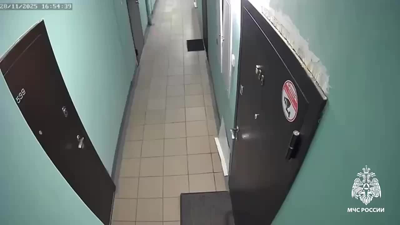 СОБАКА ВЗОРВАЛА КВАРТИРУ. Домашняя собака в Новосибирске нагрела дихлофос на плите и взорвала квартиру