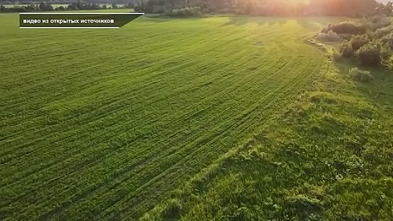 ЦИФРОВИЗАЦИЯ АПК КРАСНОЯРСКОГО КРАЯ