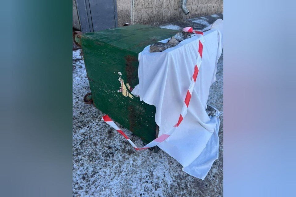 Родила в туалете и выбросила младенца в мусор: в Красноярске 16-летнюю мать-детоубийцу признали невменяемой