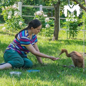 Ну вы только посмотрите на этих мамулечек из "Роева ручья"