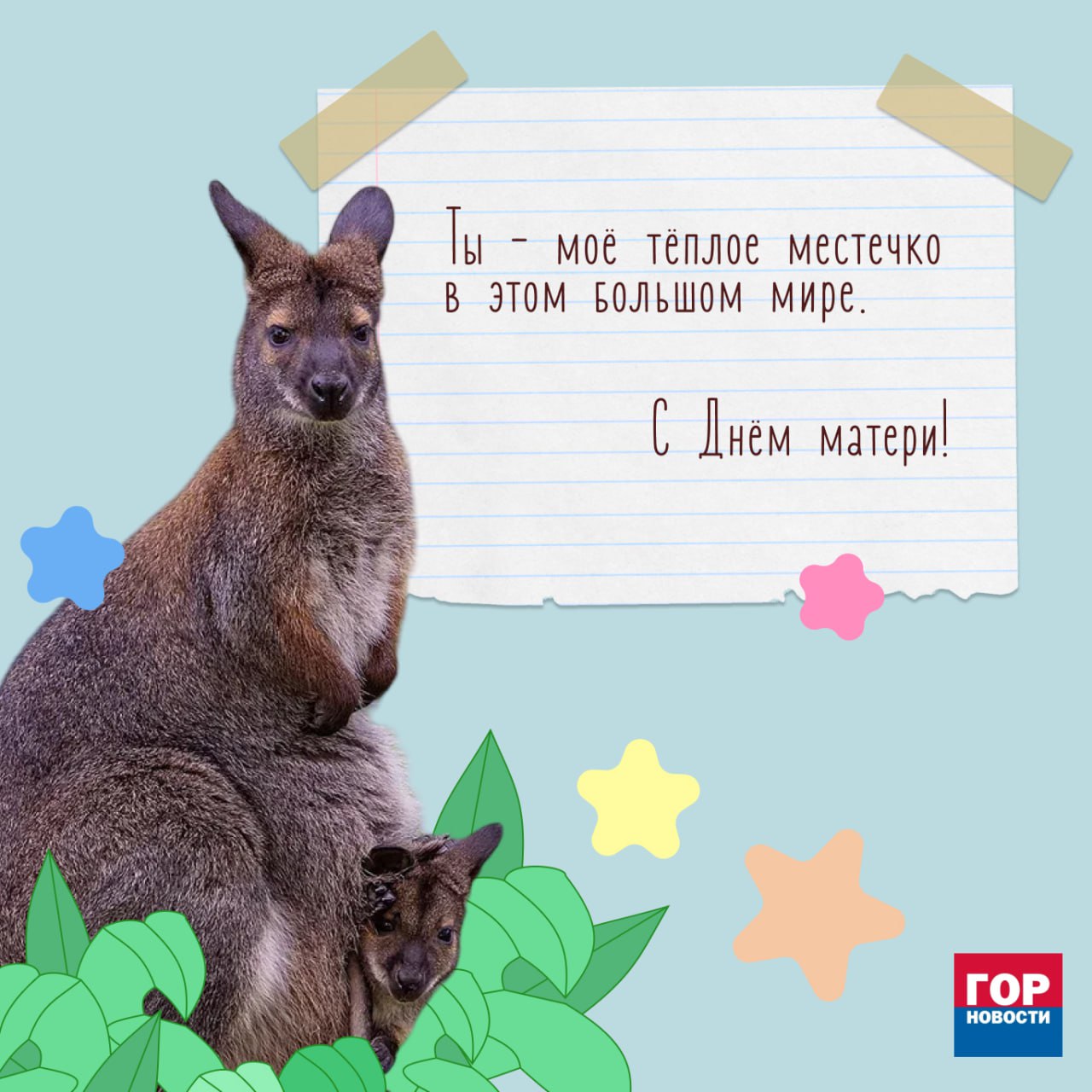 Сегодня отмечается День матери! Сегодня отмечается День матери!