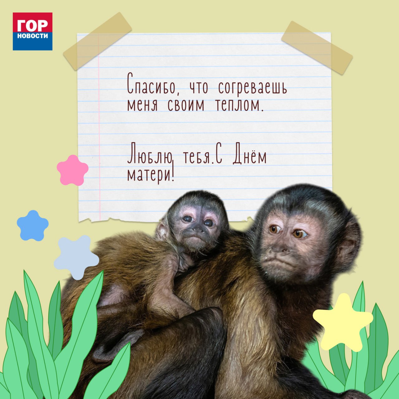 Сегодня отмечается День матери! Сегодня отмечается День матери!