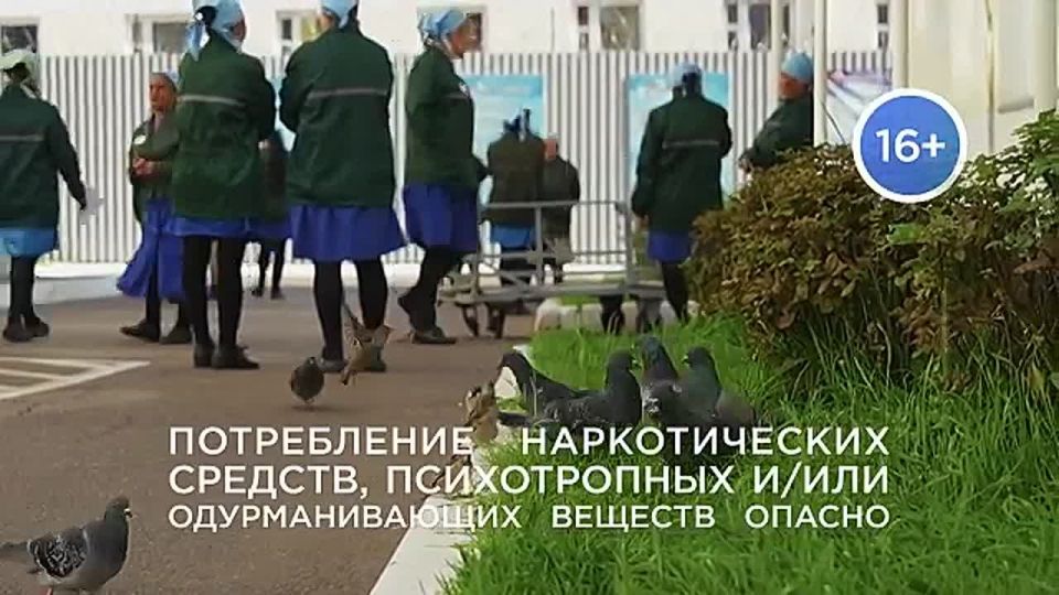 ���� �������, � ����� �����������: ������� ���������� �� ���� ����������