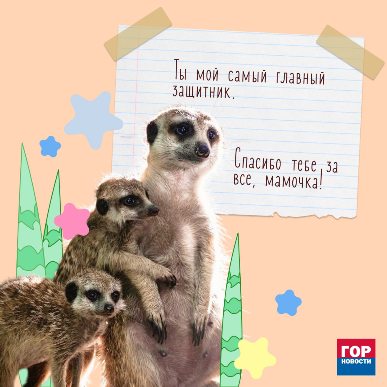 Сегодня отмечается День матери! Сегодня отмечается День матери!