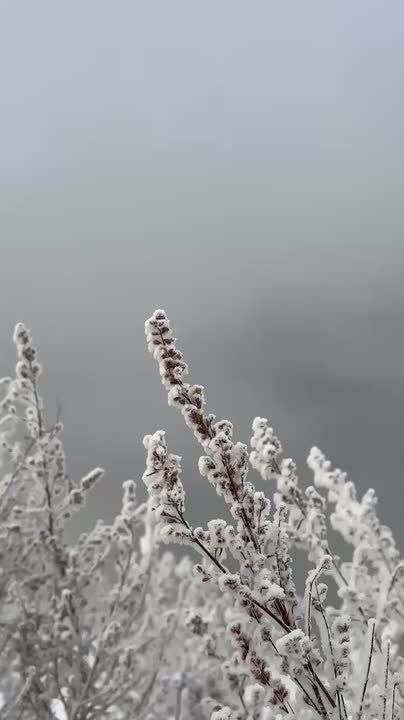 ������ �� 1 �������. ���