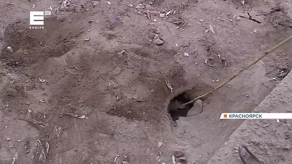 ������ ������ ����������� �������� � ������������ ����