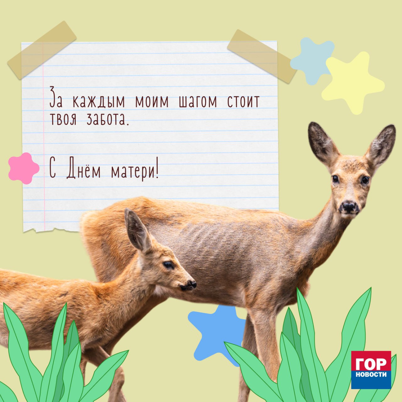 Сегодня отмечается День матери!