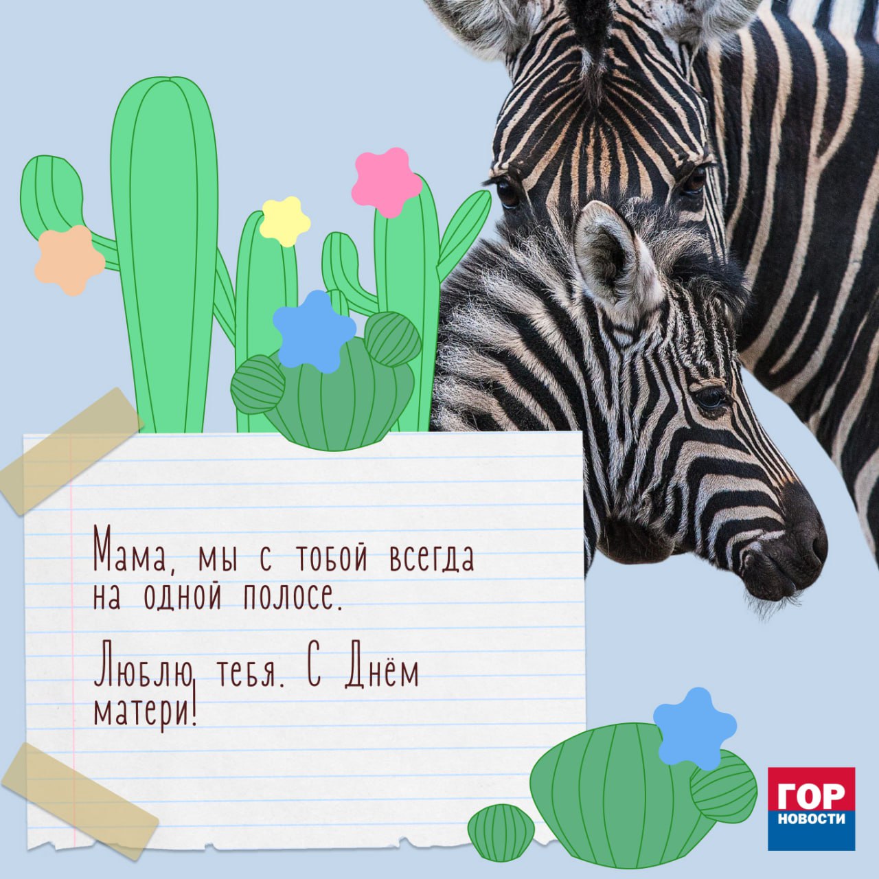 Сегодня отмечается День матери! Сегодня отмечается День матери!