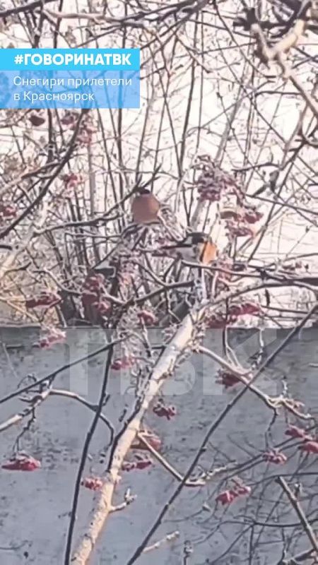 ������� ��������� � ����������