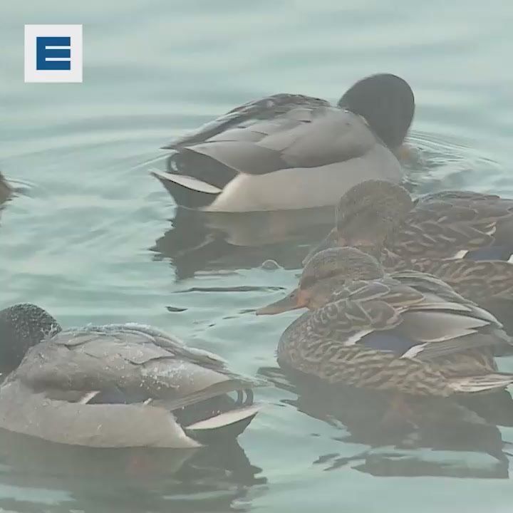 �������� � ������� ����������