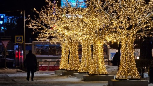 Светящиеся деревья заработали на улицах Красноярска