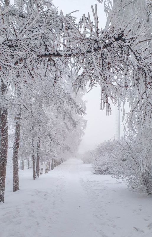 ������� ������ �� ������. ������� ��������� �������� ���� �� ������, � ��� ������ ������ ����� �������