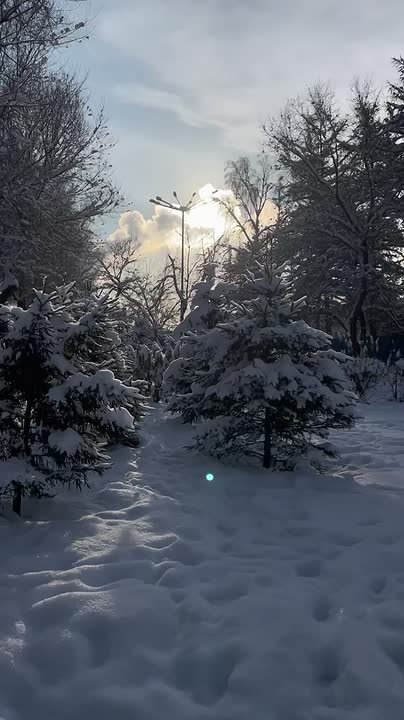 Доброе утро!. 1 декабря встречает нас снегом и морозцем