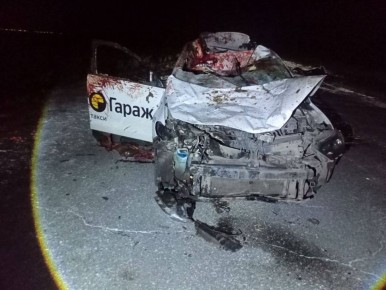 На трассе в Хакасии автомобиль врезался в лошадь, есть пострадавшие