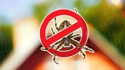 Больше не придется сметать паутину со стен и потолка: сделайте это, и проблема исчезнет