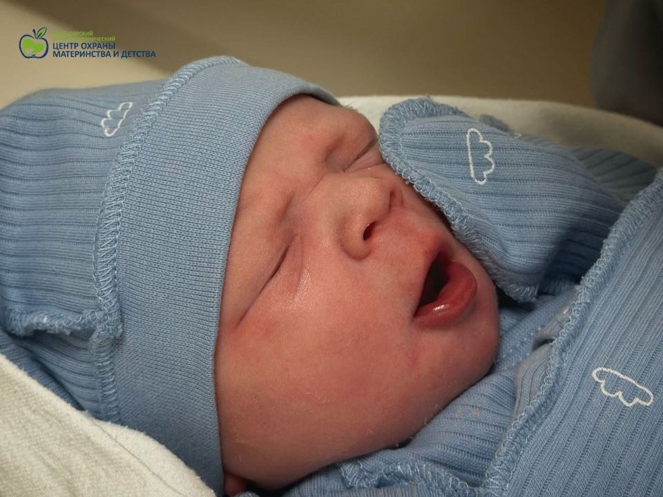 ����� ���, ���� ����� �����: ������������ ������������� ����� ��������� ������� ������