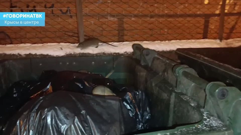 ����! ��� ���?�. ����� �������� �� ������ ����� ����������, 32 � ����� ������, 150