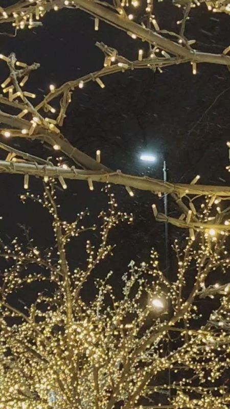 �������� �������� � �����������