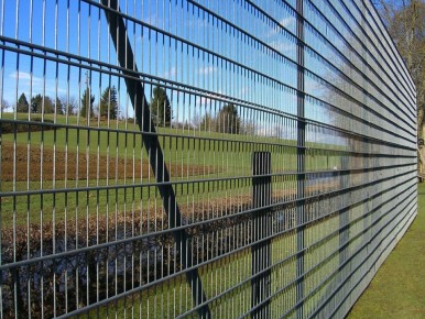 Как скрыть забор и создать уют на участке в 2025 году