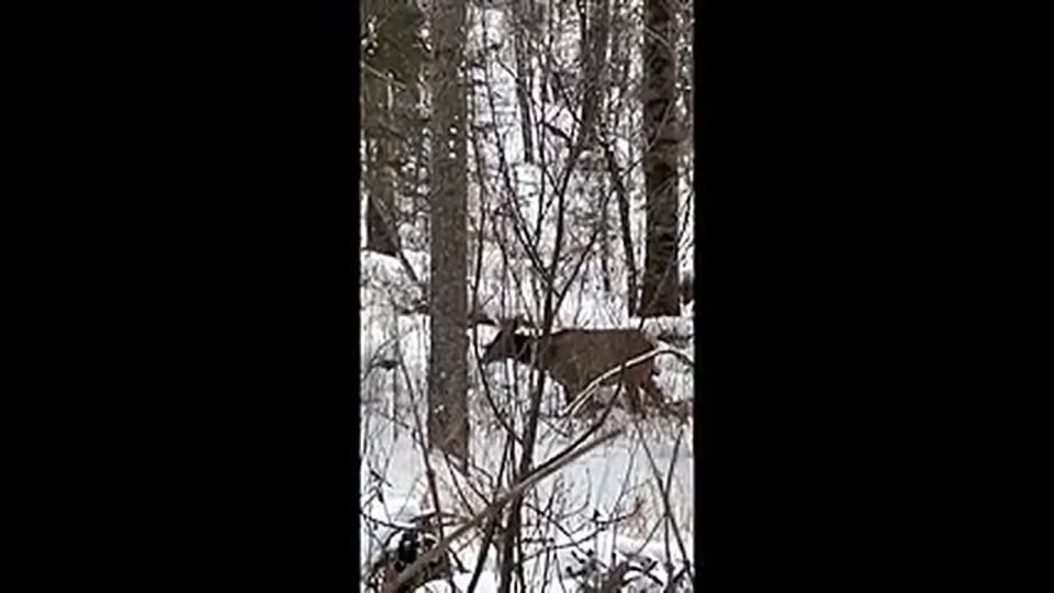 ������� �������� ������ �� ����� ��������� �� ������������� ��������