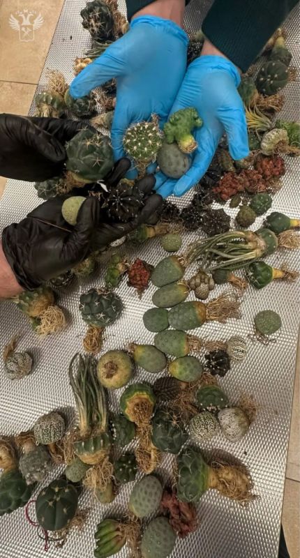 ����� 15 �� �������� ���������� ������������ ����������� � ������ ���������� �� ��������