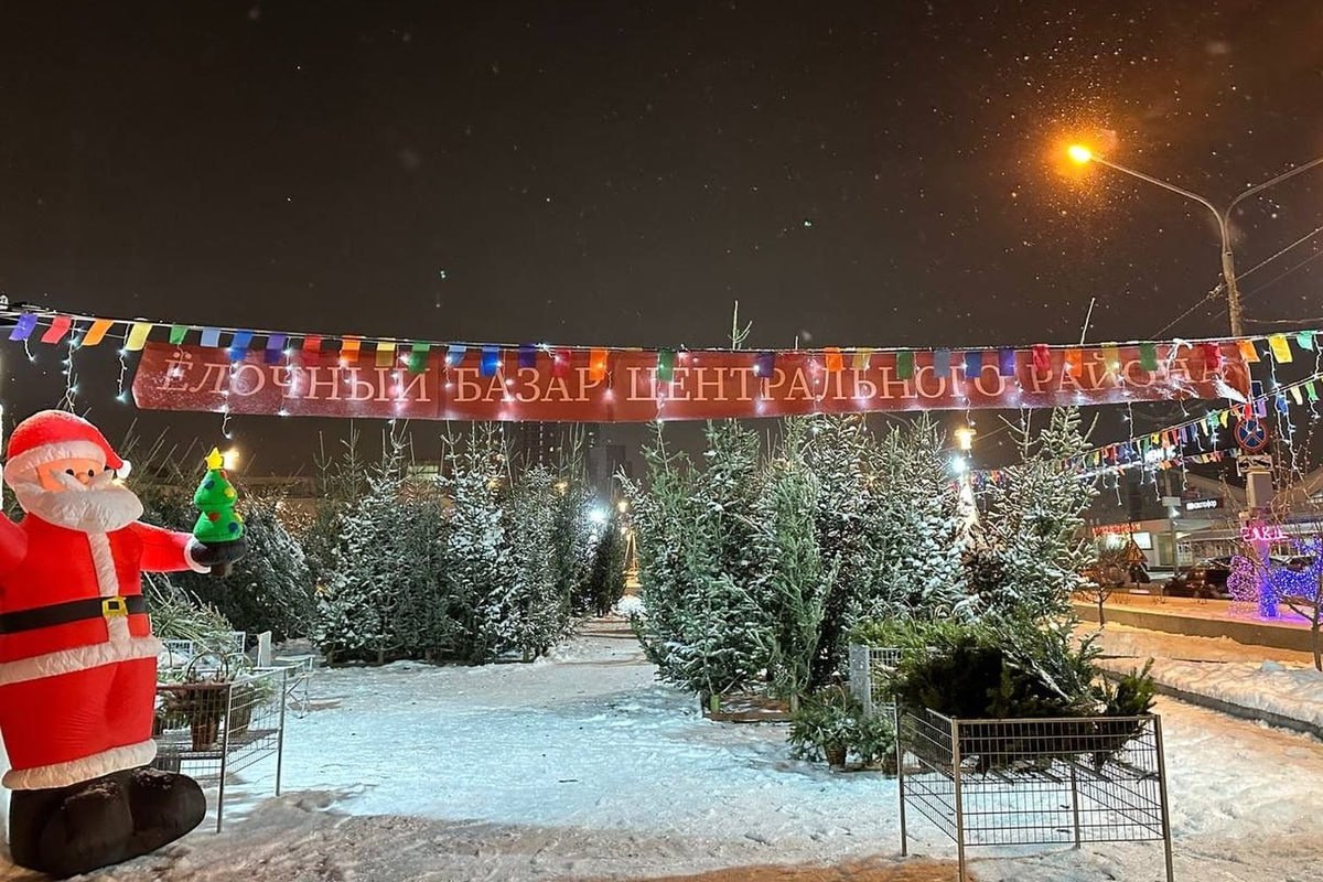В Центральном районе определили места ёлочных базаров