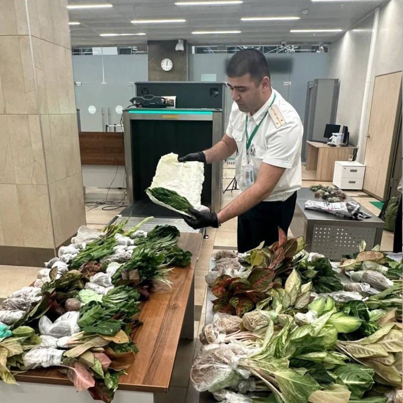 ������������ ������ � �������� ��������