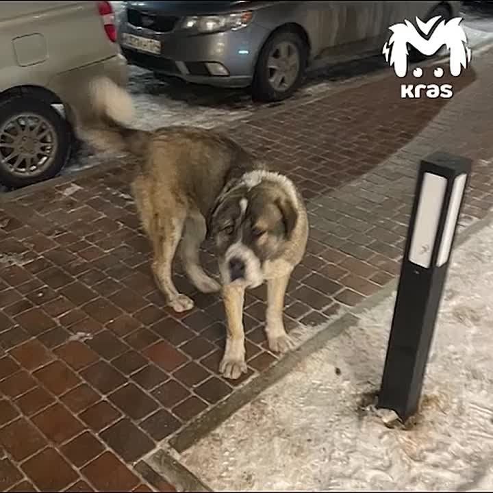 �������� ������ �������� �� �������� ����� � ���������