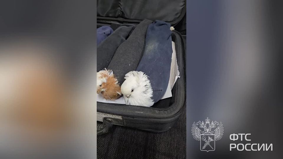 ���������� ��� � ������ �������� ��������� �� ���������-���������� ������� �������, ���������� � �����