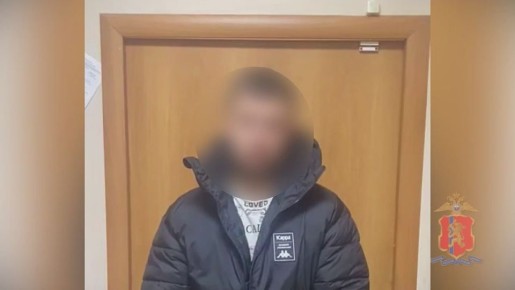 Красноярские полицейские изъяли около 3 кг эфедрона у задержанного 25-летнего оптового наркосбытчика